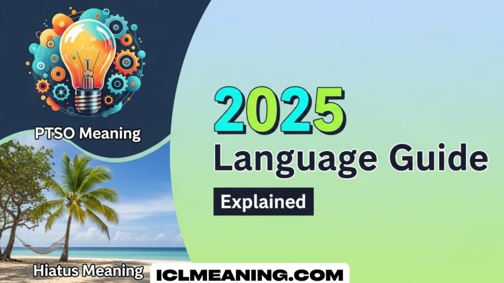 PTSO Meaning & Hiatus Meaning Explained