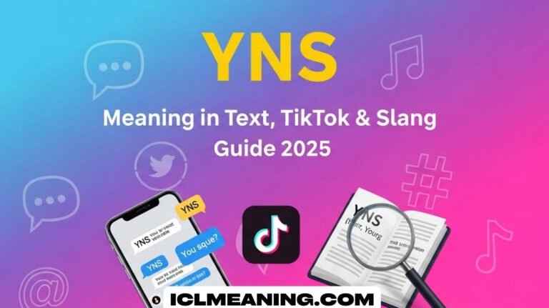 YNS Meaning in Text