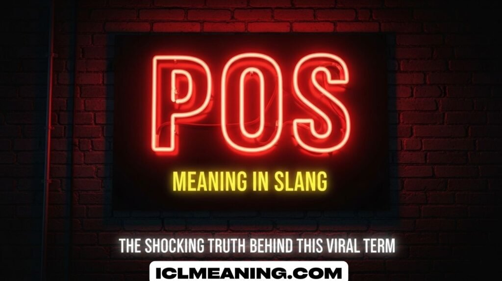 POS Meaning in Slang